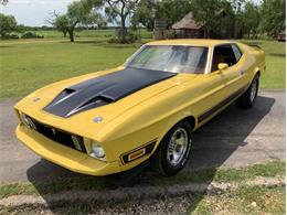 1973 Ford Mustang (CC-2076473) for sale in Fredericksburg, Texas