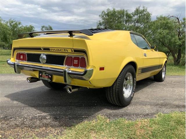 1973 Ford Mustang (CC-2076473) for sale in Fredericksburg, Texas
