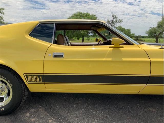 1973 Ford Mustang (CC-2076473) for sale in Fredericksburg, Texas