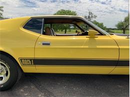 1973 Ford Mustang (CC-2076473) for sale in Fredericksburg, Texas