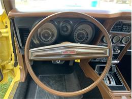 1973 Ford Mustang (CC-2076473) for sale in Fredericksburg, Texas