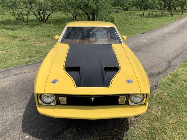 1973 Ford Mustang (CC-2076473) for sale in Fredericksburg, Texas