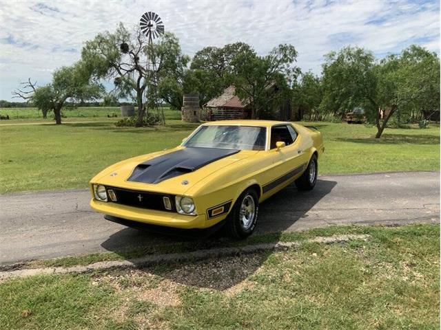 1973 Ford Mustang (CC-2076473) for sale in Fredericksburg, Texas