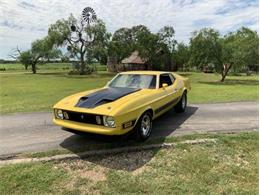 1973 Ford Mustang (CC-2076473) for sale in Fredericksburg, Texas
