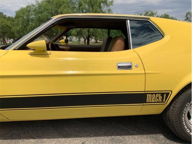 1973 Ford Mustang (CC-2076473) for sale in Fredericksburg, Texas
