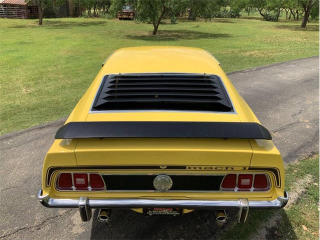 1973 Ford Mustang (CC-2076473) for sale in Fredericksburg, Texas