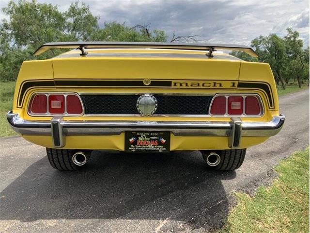 1973 Ford Mustang (CC-2076473) for sale in Fredericksburg, Texas