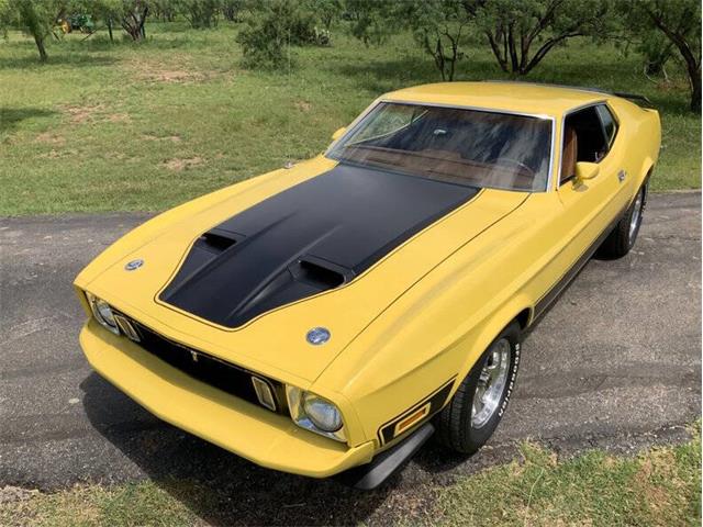 1973 Ford Mustang (CC-2076473) for sale in Fredericksburg, Texas