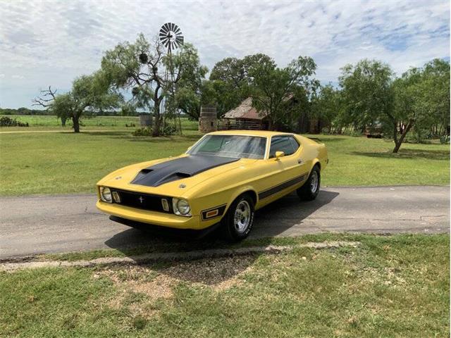 1973 Ford Mustang (CC-2076473) for sale in Fredericksburg, Texas