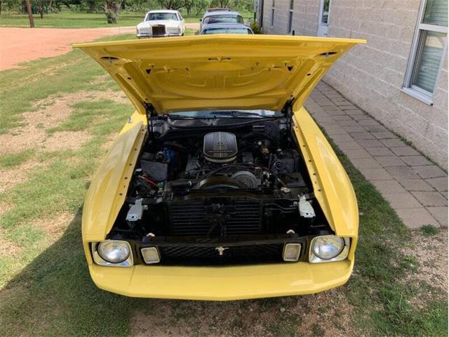 1973 Ford Mustang (CC-2076473) for sale in Fredericksburg, Texas