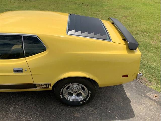 1973 Ford Mustang (CC-2076473) for sale in Fredericksburg, Texas