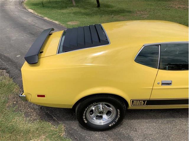 1973 Ford Mustang (CC-2076473) for sale in Fredericksburg, Texas