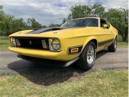 1973 Ford Mustang (CC-2076473) for sale in Fredericksburg, Texas