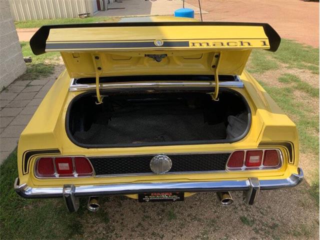 1973 Ford Mustang (CC-2076473) for sale in Fredericksburg, Texas