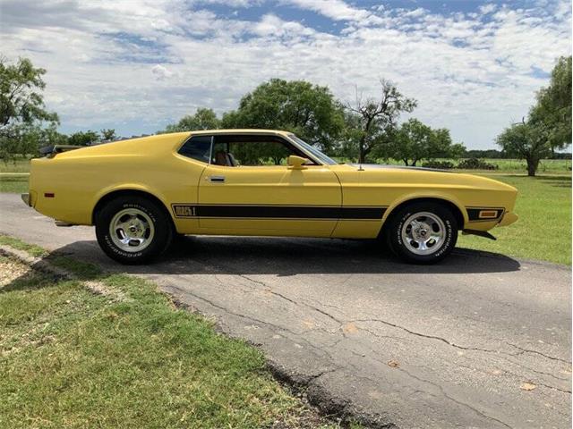 1973 Ford Mustang (CC-2076473) for sale in Fredericksburg, Texas