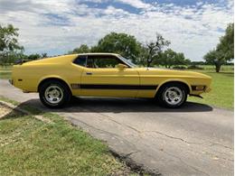 1973 Ford Mustang (CC-2076473) for sale in Fredericksburg, Texas