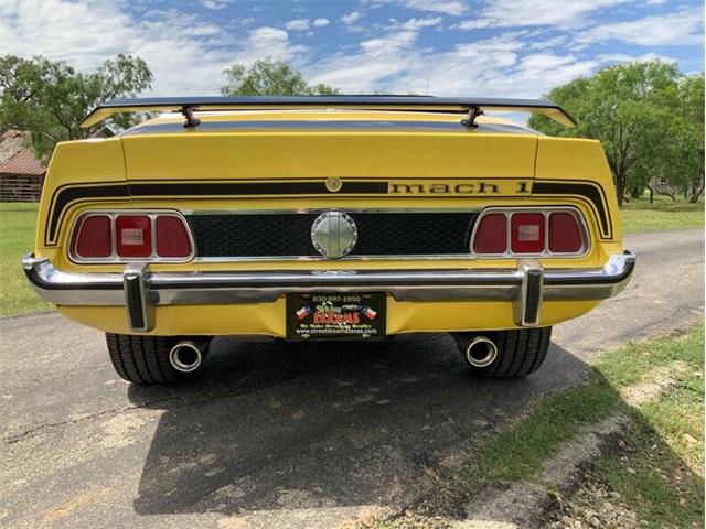 1973 Ford Mustang (CC-2076473) for sale in Fredericksburg, Texas