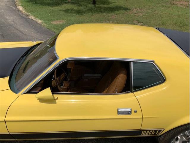 1973 Ford Mustang (CC-2076473) for sale in Fredericksburg, Texas