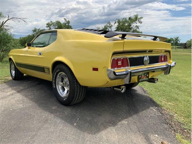 1973 Ford Mustang (CC-2076473) for sale in Fredericksburg, Texas