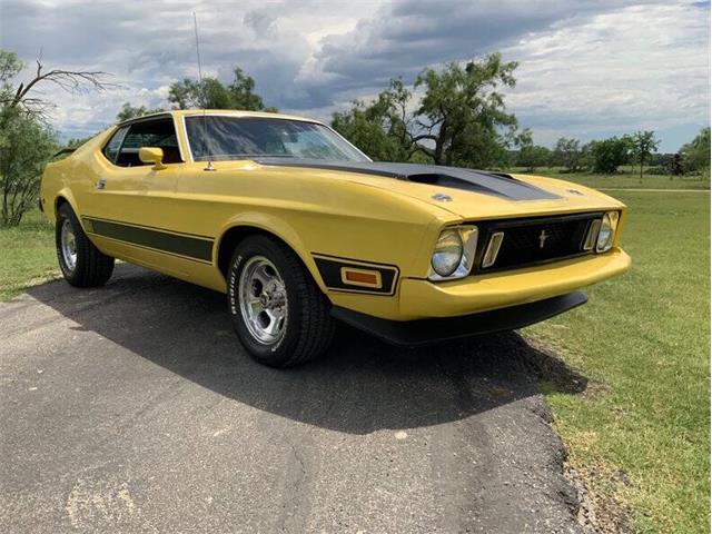 1973 Ford Mustang (CC-2076473) for sale in Fredericksburg, Texas