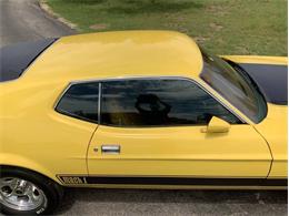1973 Ford Mustang (CC-2076473) for sale in Fredericksburg, Texas