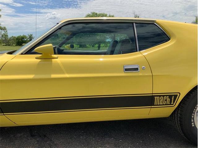1973 Ford Mustang (CC-2076473) for sale in Fredericksburg, Texas