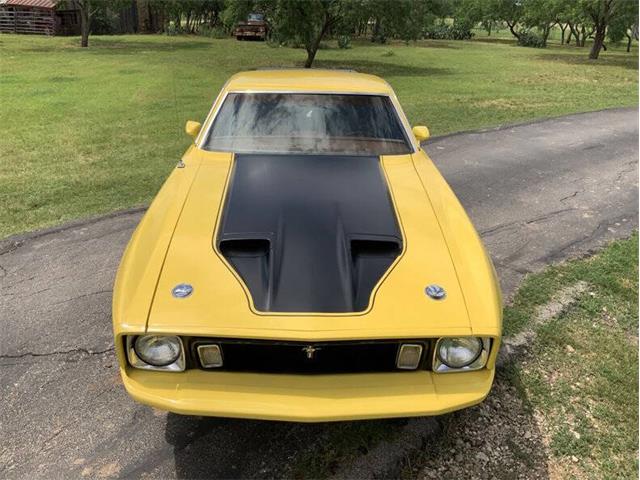 1973 Ford Mustang (CC-2076473) for sale in Fredericksburg, Texas