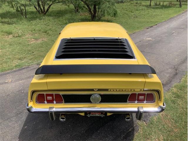1973 Ford Mustang (CC-2076473) for sale in Fredericksburg, Texas