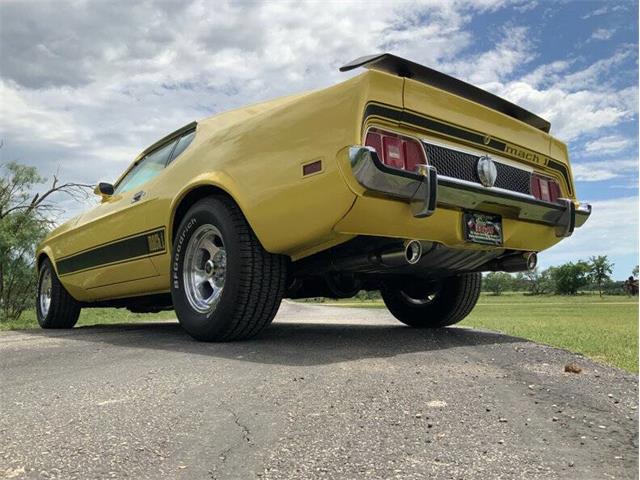 1973 Ford Mustang (CC-2076473) for sale in Fredericksburg, Texas
