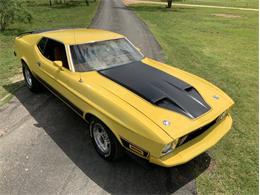 1973 Ford Mustang (CC-2076473) for sale in Fredericksburg, Texas
