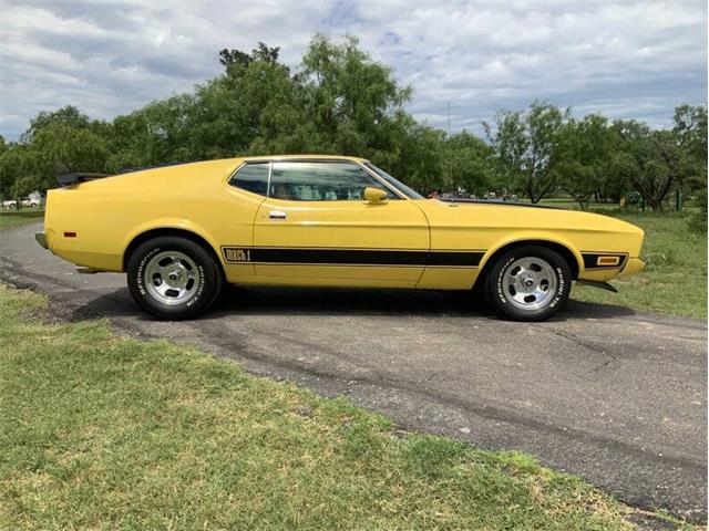 1973 Ford Mustang (CC-2076473) for sale in Fredericksburg, Texas