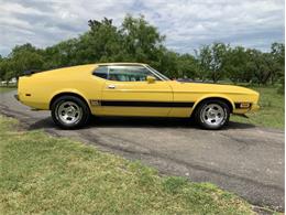 1973 Ford Mustang (CC-2076473) for sale in Fredericksburg, Texas