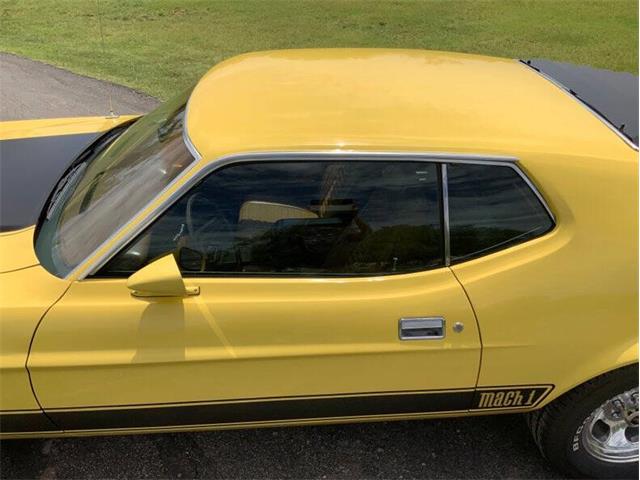 1973 Ford Mustang (CC-2076473) for sale in Fredericksburg, Texas