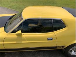 1973 Ford Mustang (CC-2076473) for sale in Fredericksburg, Texas