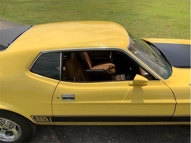 1973 Ford Mustang (CC-2076473) for sale in Fredericksburg, Texas