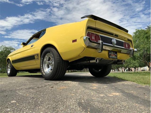 1973 Ford Mustang (CC-2076473) for sale in Fredericksburg, Texas