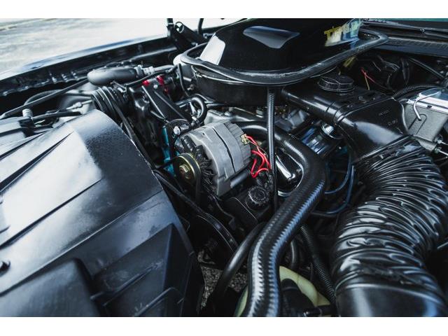 1979 Pontiac Firebird (CC-2076490) for sale in Carrollton, Texas