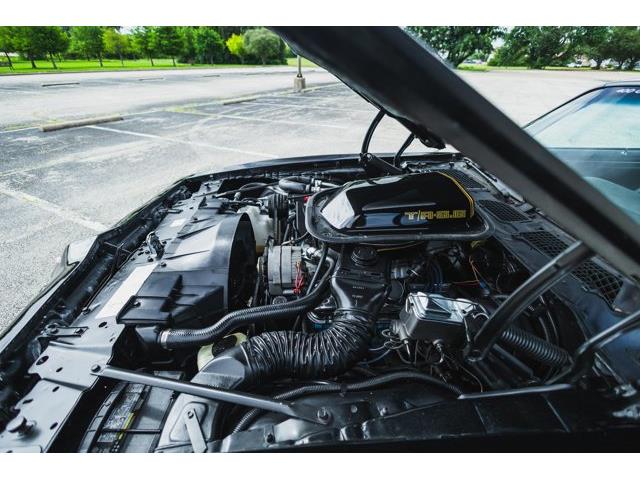 1979 Pontiac Firebird (CC-2076490) for sale in Carrollton, Texas