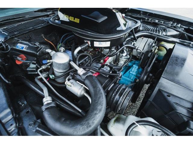 1979 Pontiac Firebird (CC-2076490) for sale in Carrollton, Texas