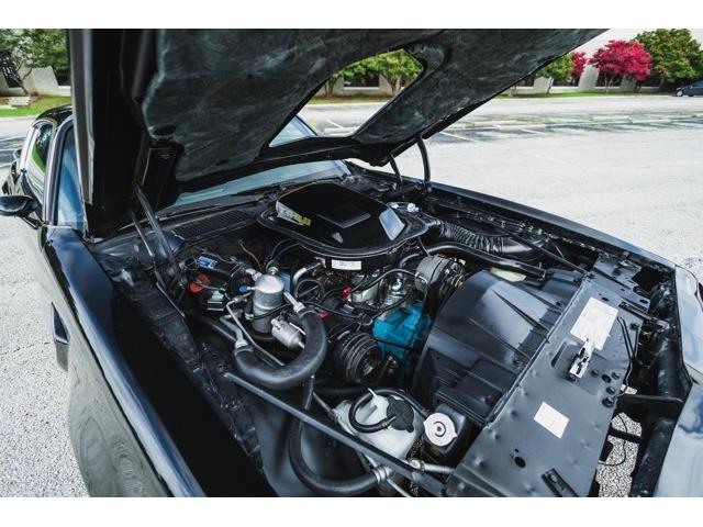 1979 Pontiac Firebird (CC-2076490) for sale in Carrollton, Texas