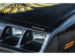 1979 Pontiac Firebird (CC-2076490) for sale in Carrollton, Texas