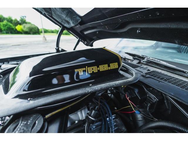 1979 Pontiac Firebird (CC-2076490) for sale in Carrollton, Texas