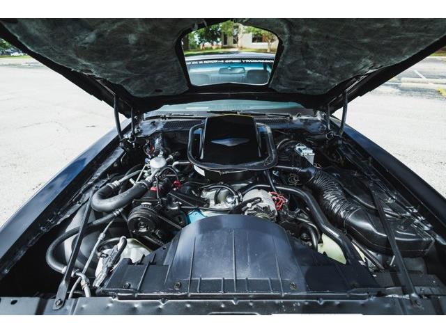1979 Pontiac Firebird (CC-2076490) for sale in Carrollton, Texas