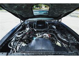 1979 Pontiac Firebird (CC-2076490) for sale in Carrollton, Texas