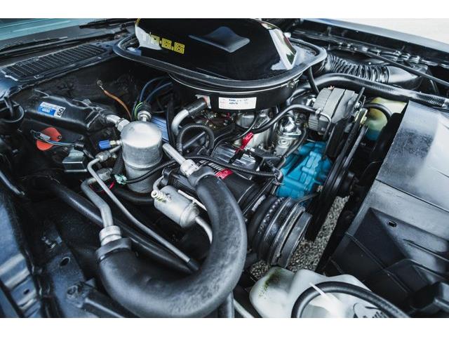 1979 Pontiac Firebird (CC-2076490) for sale in Carrollton, Texas