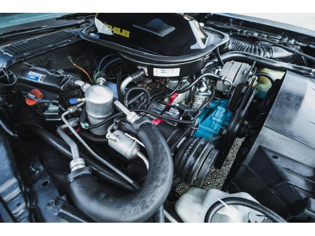 1979 Pontiac Firebird (CC-2076490) for sale in Carrollton, Texas