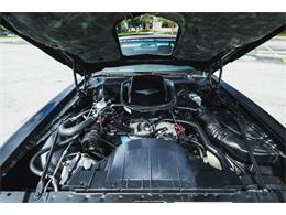 1979 Pontiac Firebird (CC-2076490) for sale in Carrollton, Texas