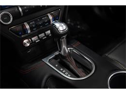 2023 Ford Mustang (CC-2076553) for sale in Ocala, Florida