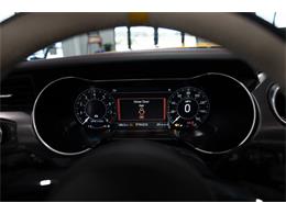2023 Ford Mustang (CC-2076553) for sale in Ocala, Florida