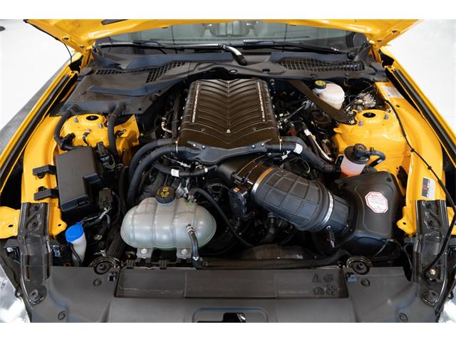 2023 Ford Mustang (CC-2076553) for sale in Ocala, Florida